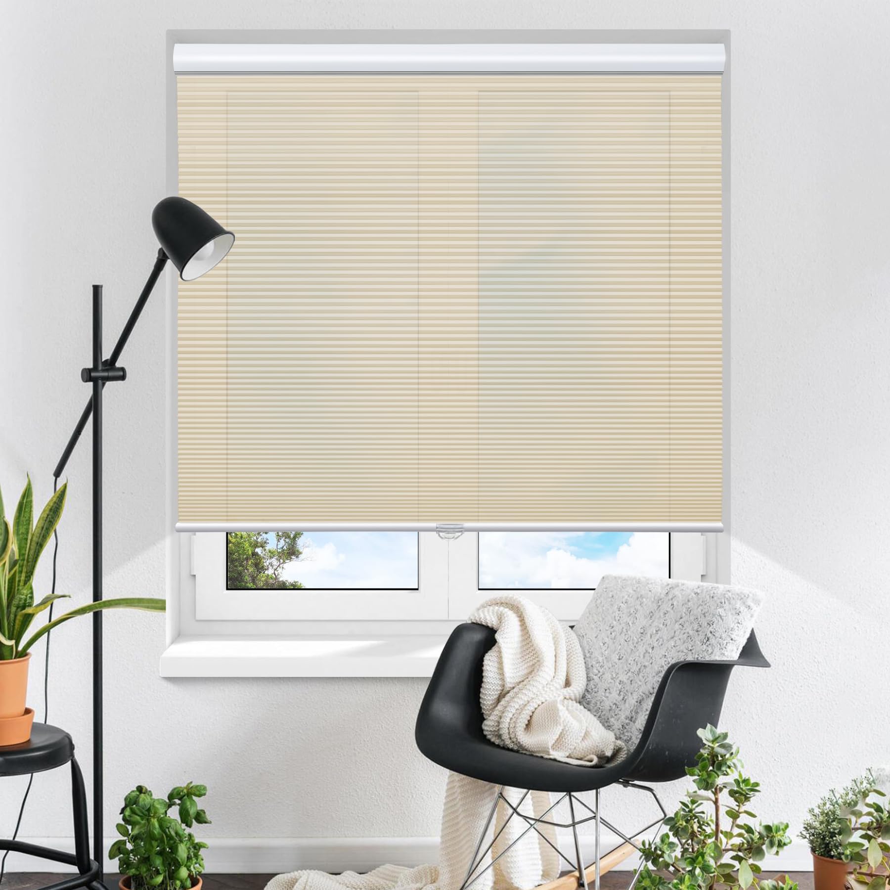 Cellular Blinds Cordless Shades for Windows Single Cell Shade - Provide Privacy and Filters Light - 34 x 36 inch, Ivory Beige(Li